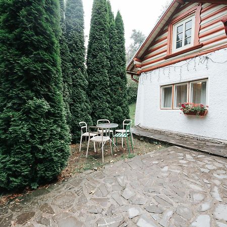 Vila Camelia Sinaia Kültér fotó
