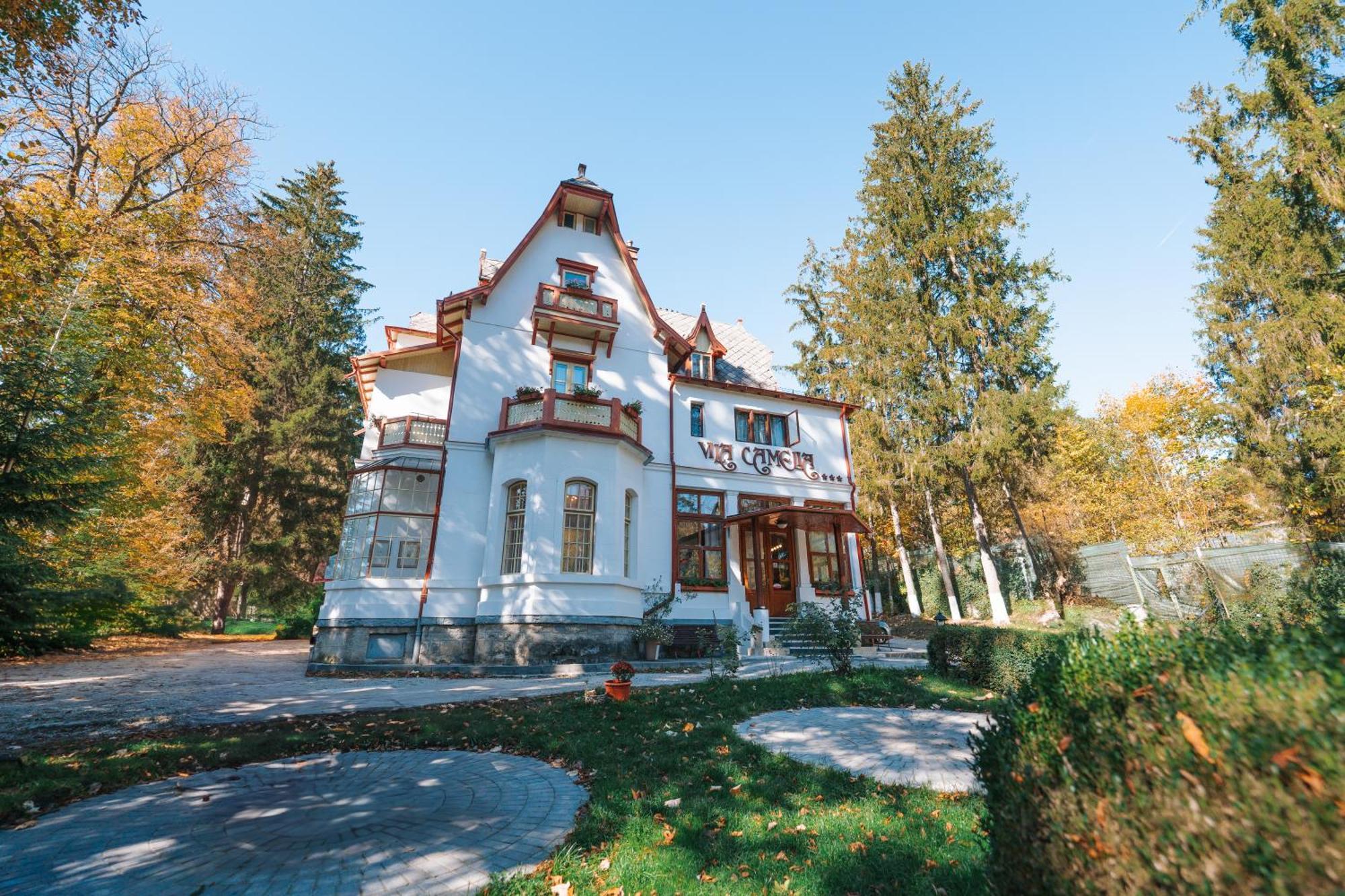 Vila Camelia Sinaia Kültér fotó