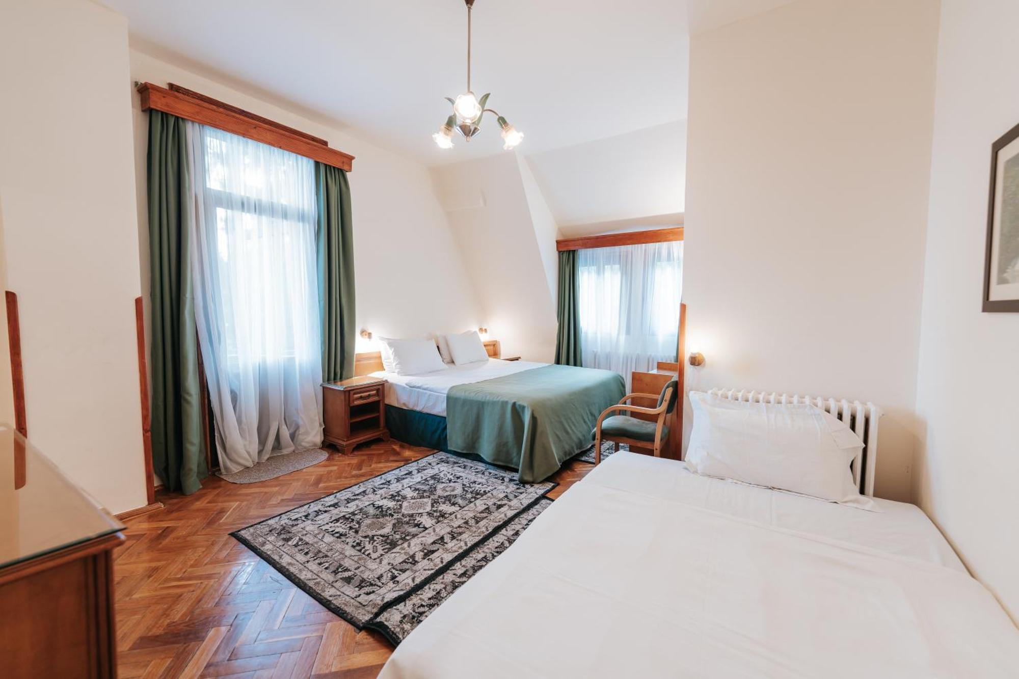 Vila Camelia Sinaia Kültér fotó