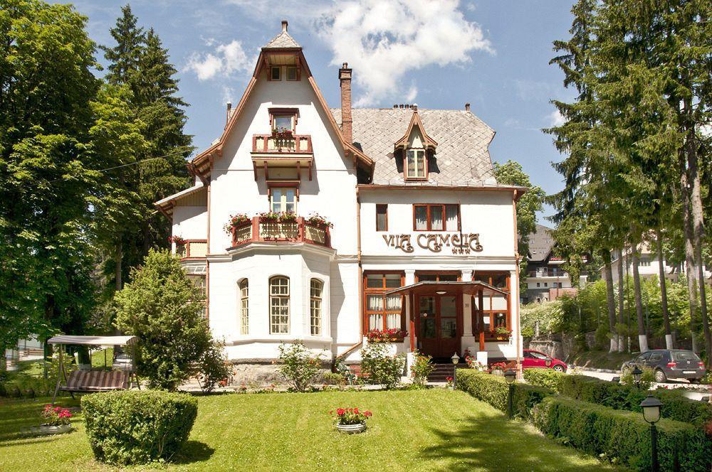 Vila Camelia Sinaia Kültér fotó