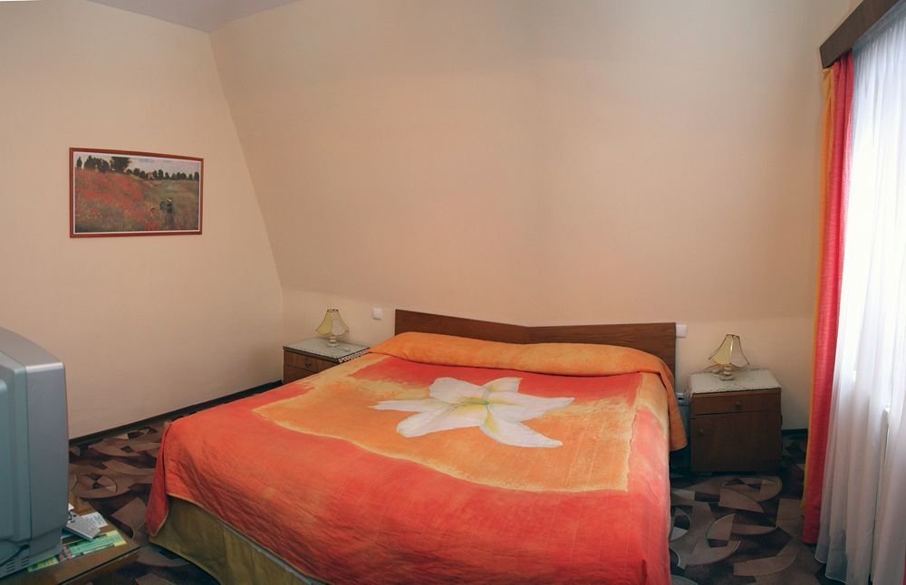 Vila Camelia Sinaia Kültér fotó