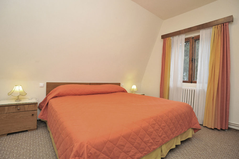 Vila Camelia Sinaia Kültér fotó