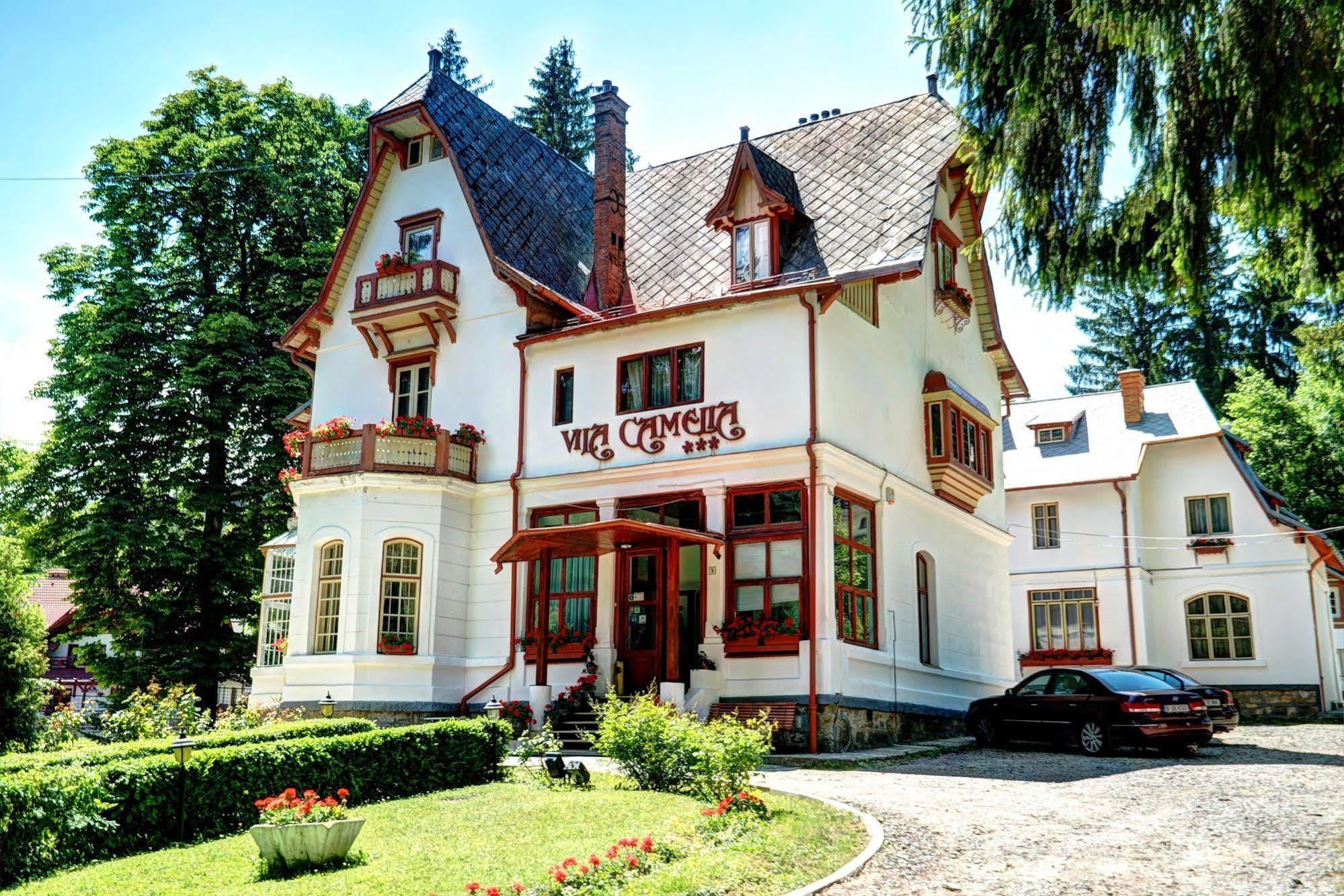 Vila Camelia Sinaia Kültér fotó