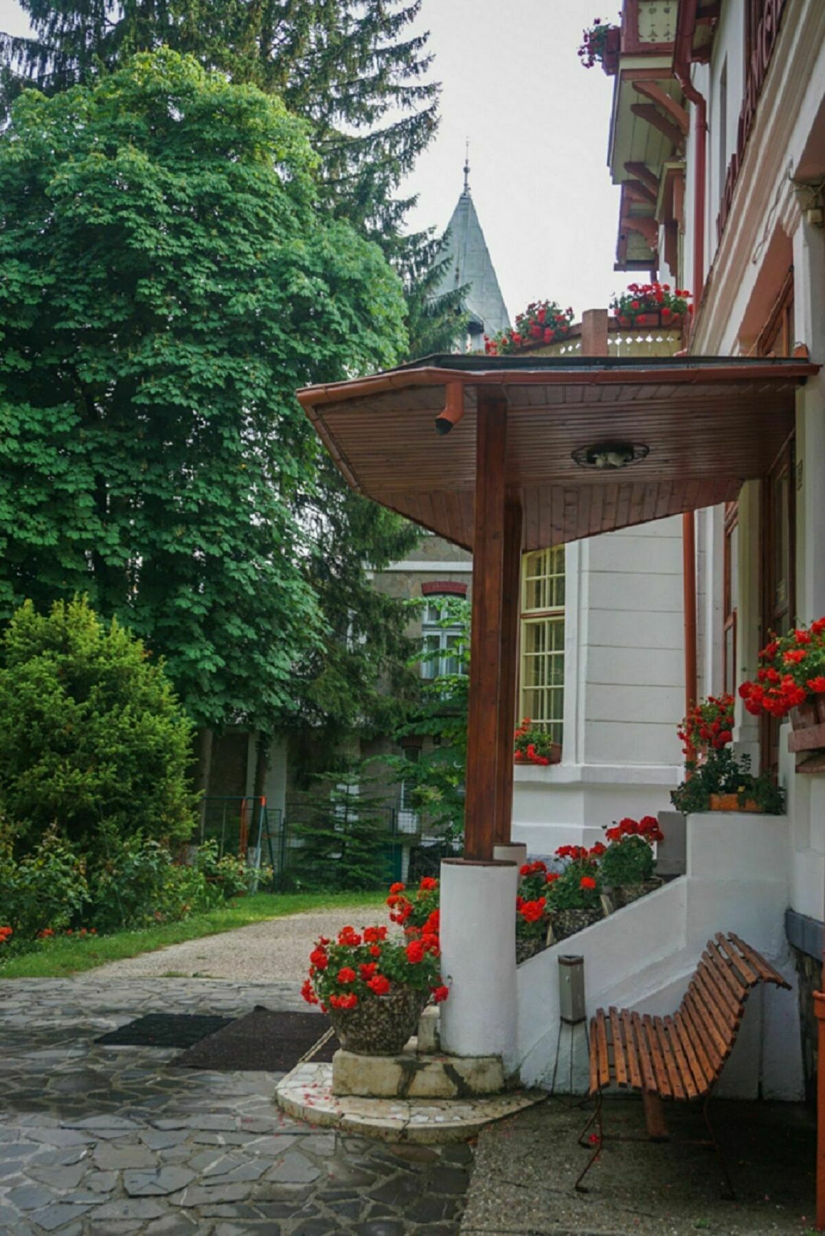 Vila Camelia Sinaia Kültér fotó