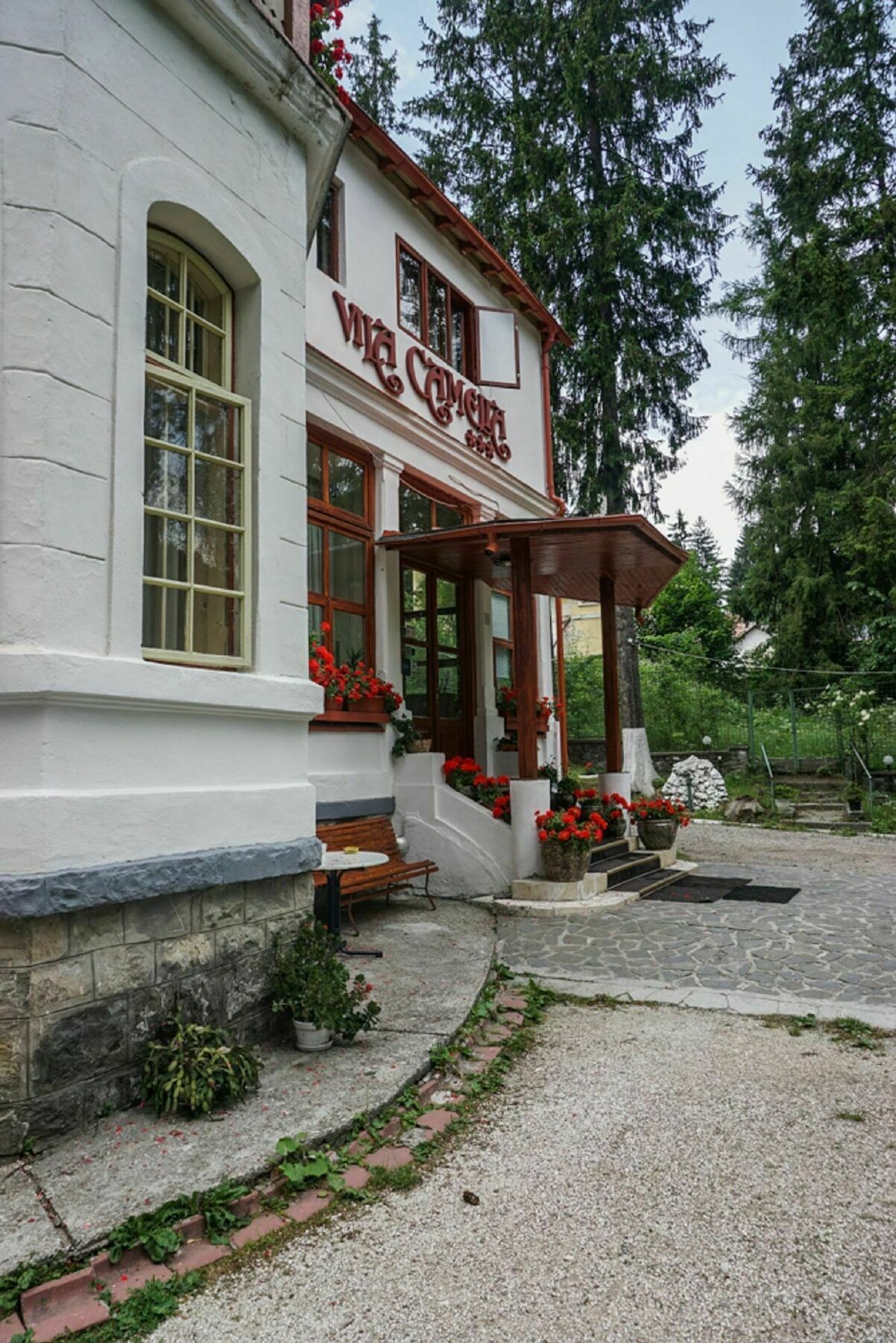 Vila Camelia Sinaia Kültér fotó